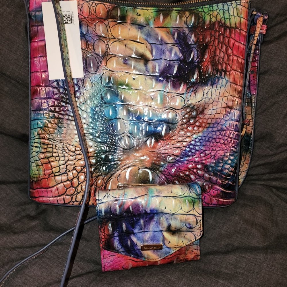 Brahmin Awestruck Katie and Matching Small Veronica